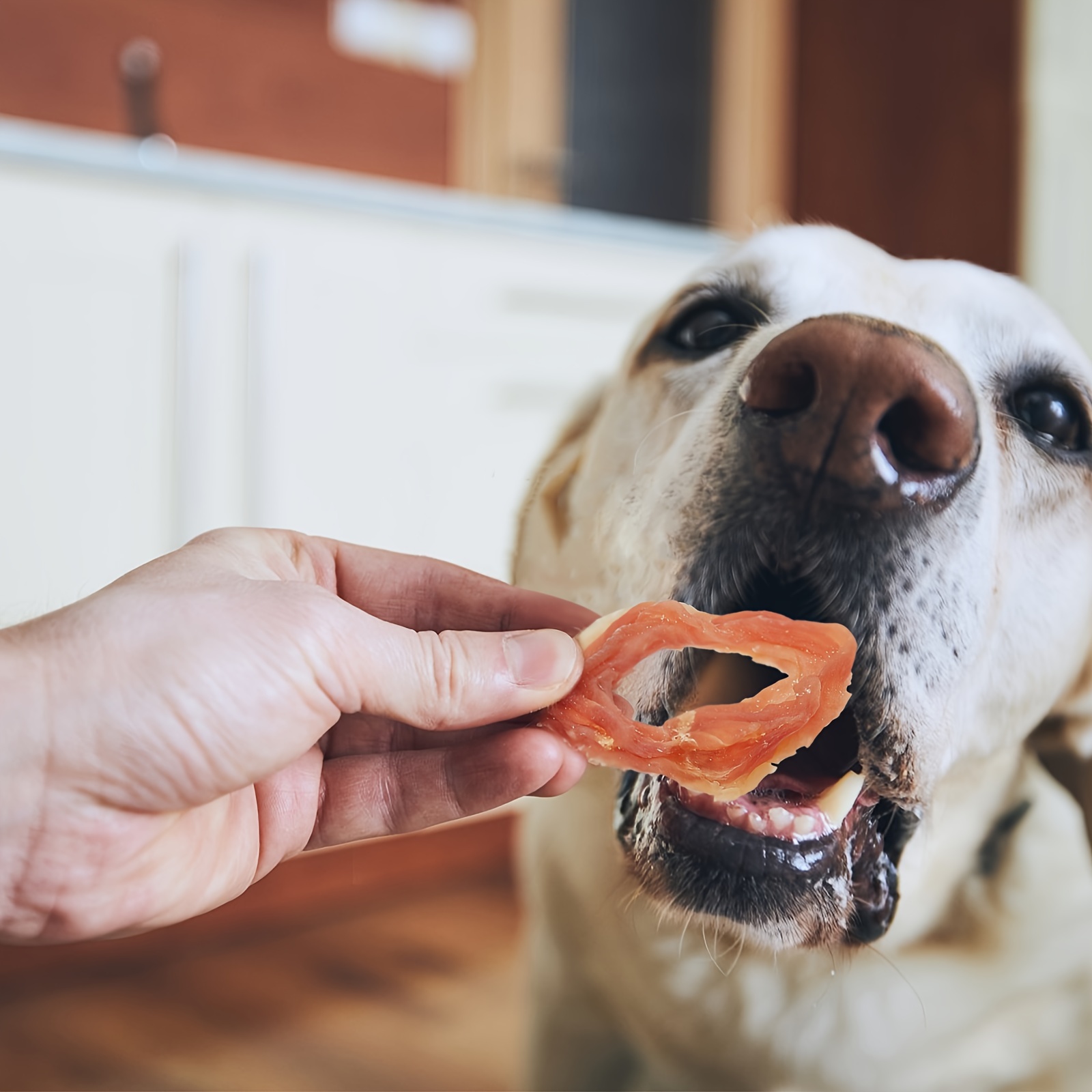 Dog Treats Chicken Rings Snacks for All Dogs Help Hip Chicken Jerky  for Dogs