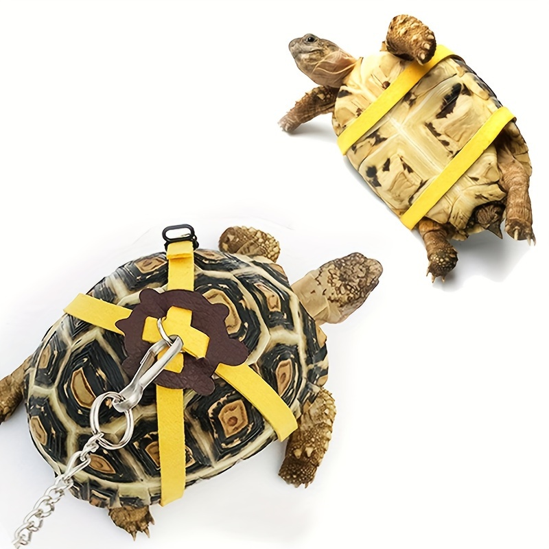 

Turtle Leash Traction Rope Leash Reptile Leash For Outdoor