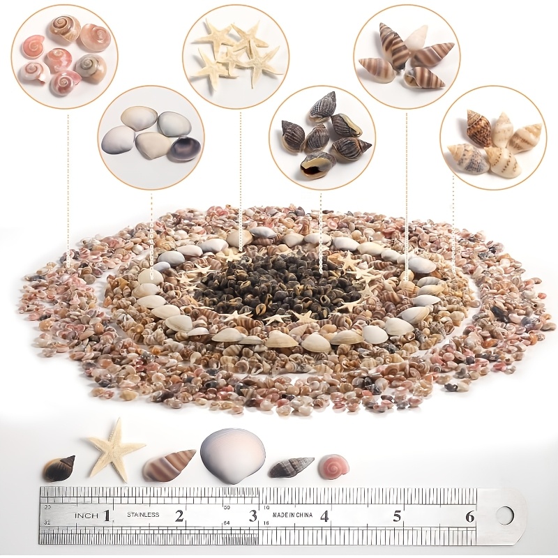 250g Seashells Suitable For Handmade Spiral Shells, Or Decorative Pieces For Diy Crafts, Candle Making, Aquarium & Beach Vase Fillers - Fish Tank Decor, Home Decoration, Spiral Capsules