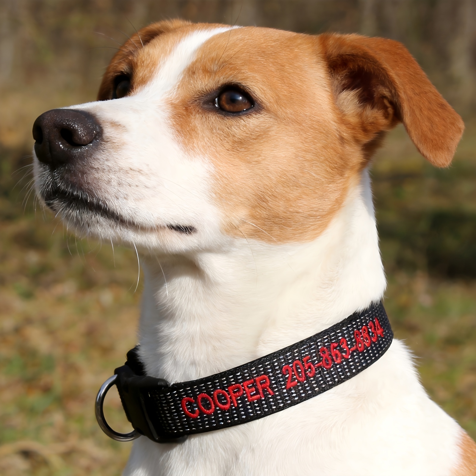 TEMU (customized) High-density Reflective Dog Collar Personalized Custom Embroidered Text Safe Travel At Night Suitable For Small Dogs Medium-sized