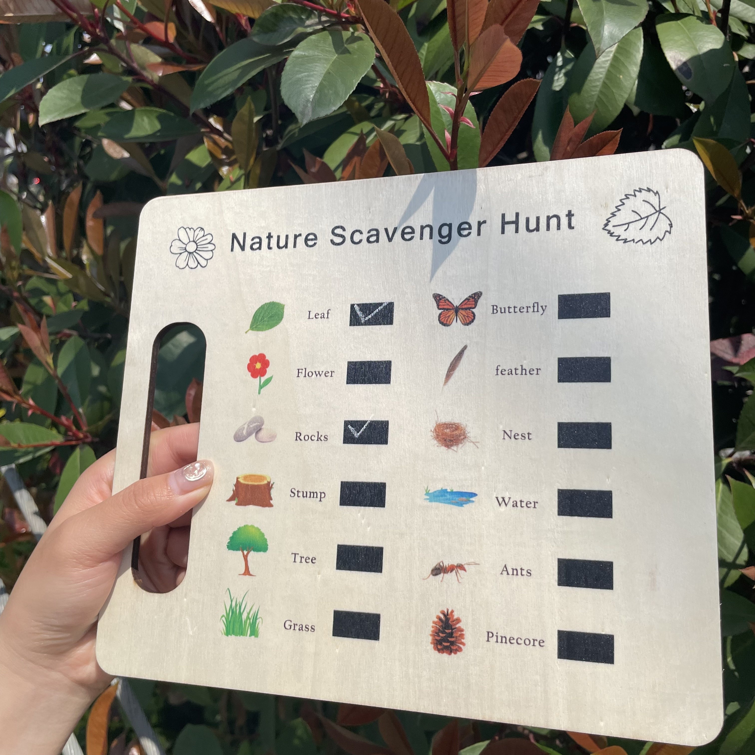 

Nature : Wooden Collecting Board For Spring, Summer, And Fall Outdoor Adventures - No Chalk Included