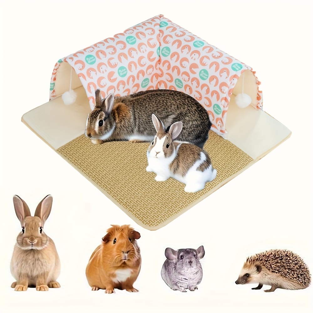 54117b58 Fa91 40ba B05c Fecce11c73cc