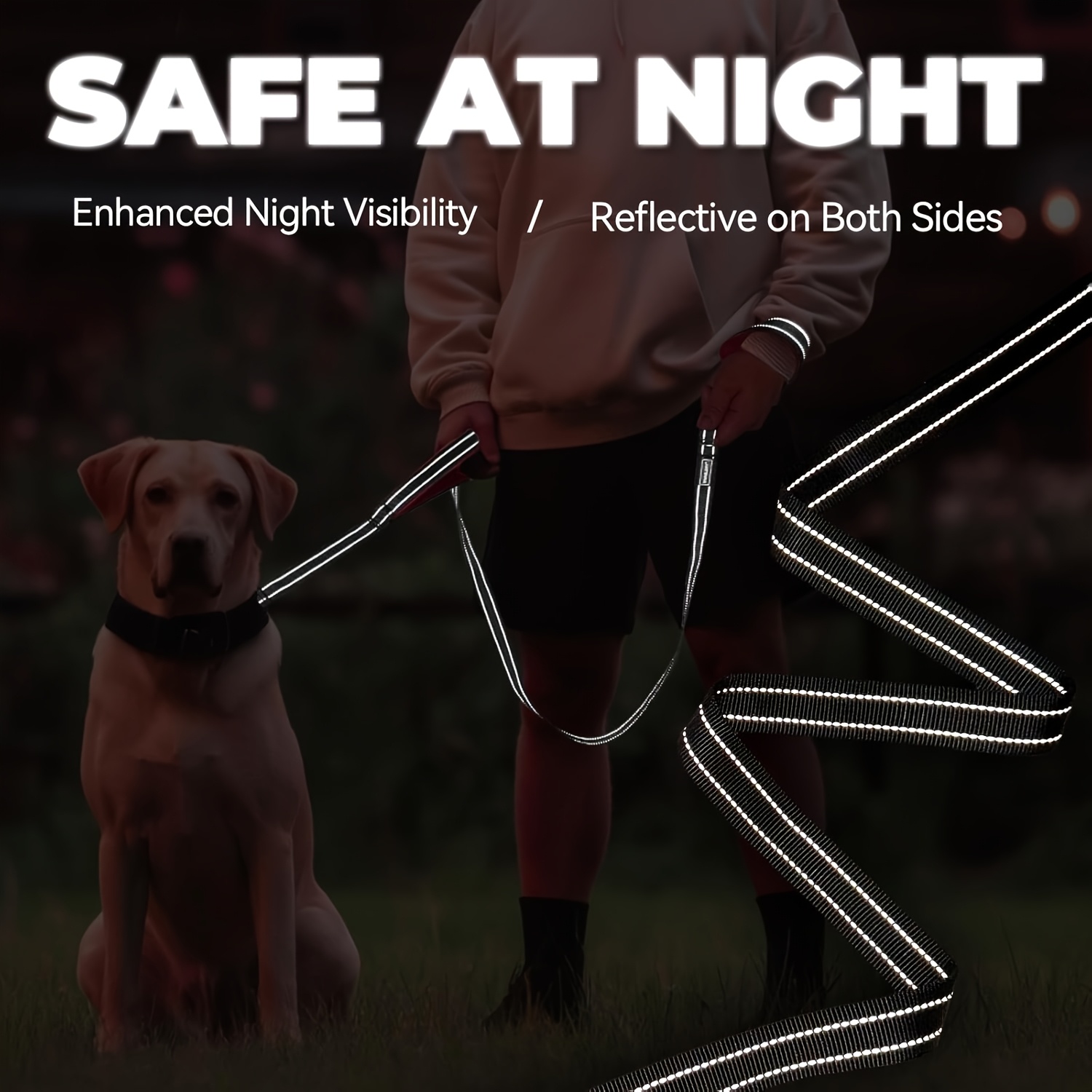Double-Sided Reflective Dog Leash with Padded Handle, Heavy Duty