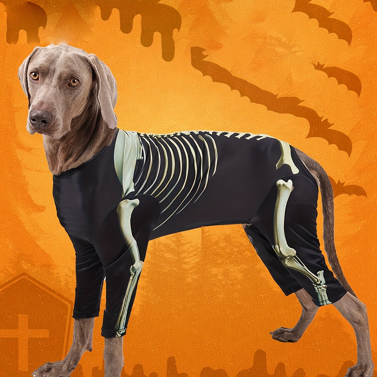 

Dog - , , And Polyester Pet Outfit For Small To Breeds, , To Put On And , For Halloween Or