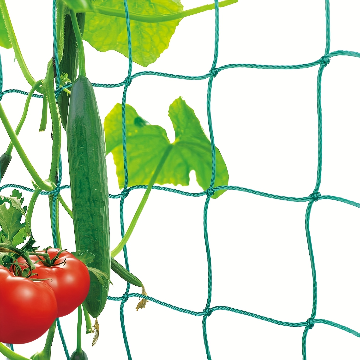Melon And Fruit Heavy Climbing Support Net Nylon Reinforced Cucumber Luffa Holder Net Anti-falling Fruit Vine Bracket Courtyard Garden Durable Growth Net Pocket