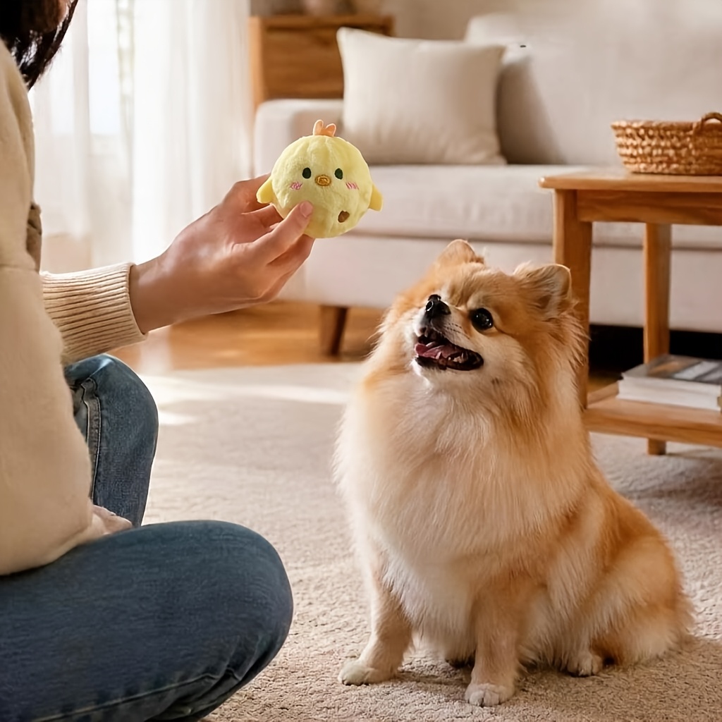 Interactive Bouncing Squeaky Toy Ball for Dogs and Cats