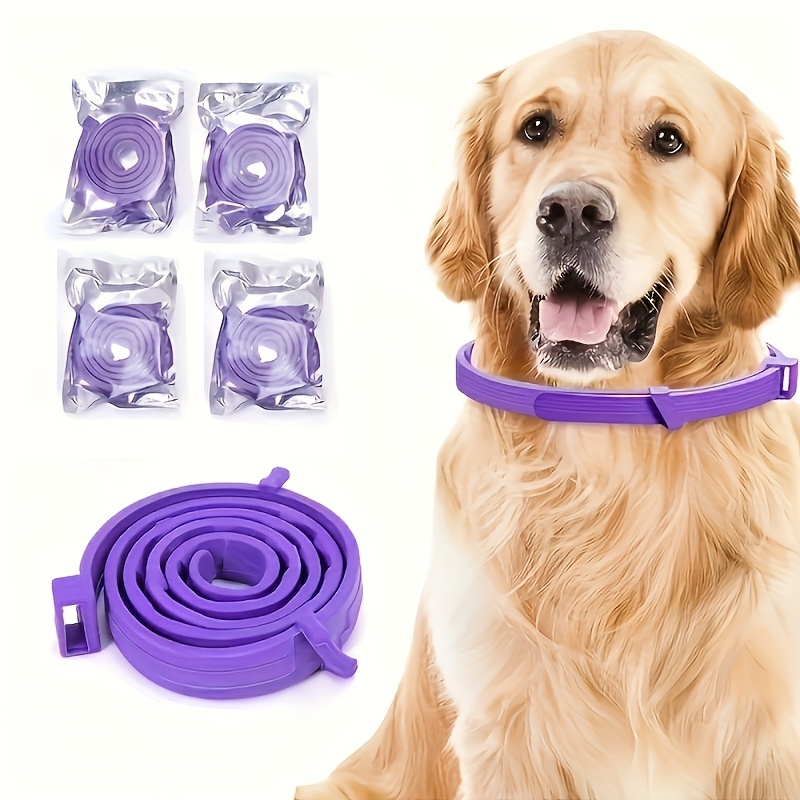 beruhigender hundehalsband - Temu Deutschland