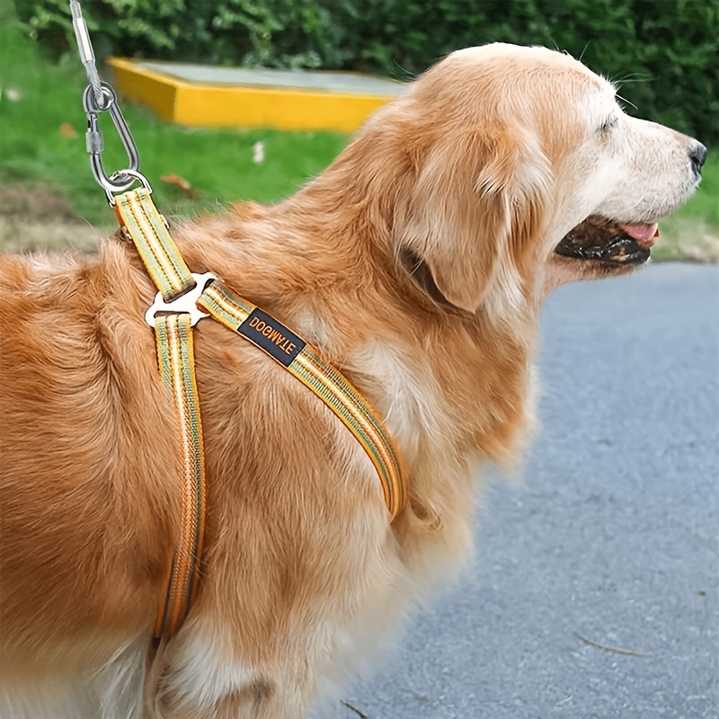 5pcs Set Stainless Steel Dog Leash with Reflective and Rust-Proof Features