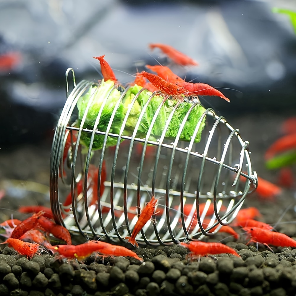 

1/2pcs Small Aquarium Feeding Bowl Stainless And Shrimp Small Bait Cage Feeding Machine Dry Feeding Cage Basket Shrimp Feeding Tool