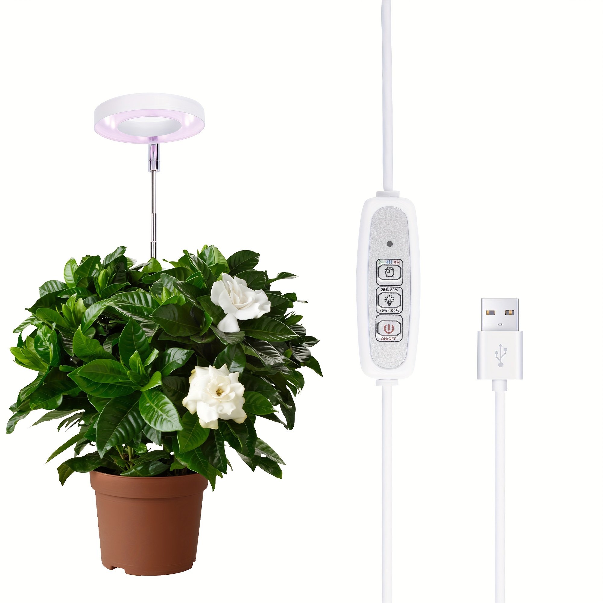 

4pcs, Grow Light, Led Plant Light For Indoor Plants Growing, Full Desk Growth Lamp With Automatic Timer For 2h/4h/8h, 4 Dimmable Levels, Height Adjustable 8"-26