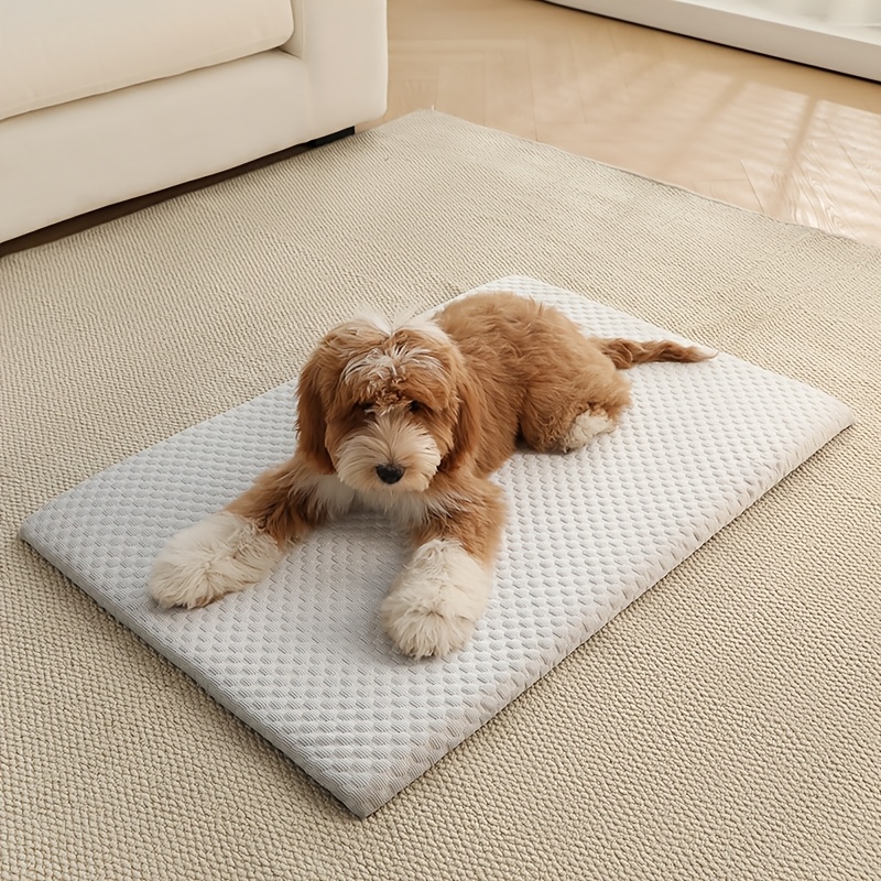 Soft Dog Bed, Pet Bed With Sponge Padding, Non-slip Washable Mat For Medium Small Dogs And Cats