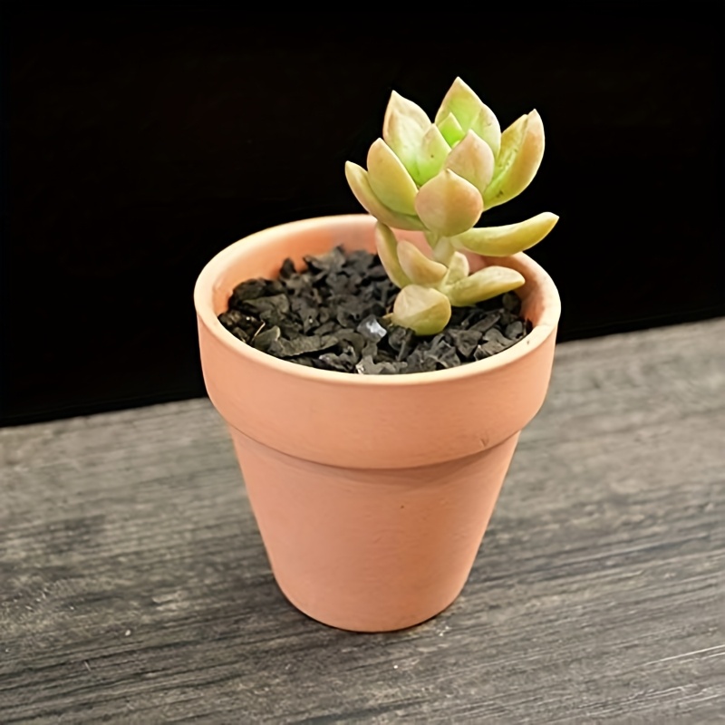 18pcs mini clay pots 1 9 inch terracotta plant pots plant - Temu Norway