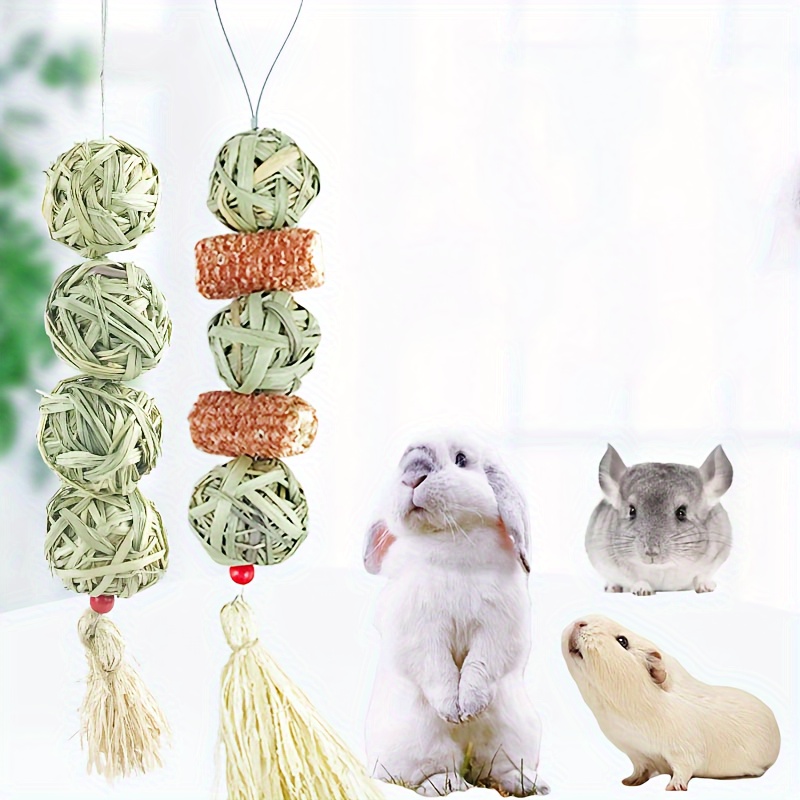 

Pet Toy, Small Hanging , Rabbit, , , Pig , Pet Toy For &