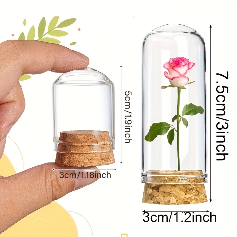 36 Pack Glass Cloche Dome Bottles with Cork Stoppers