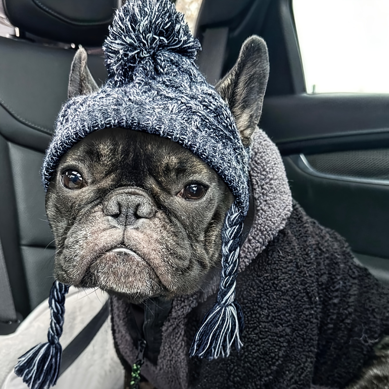 1pc Classic Plaid Dog Hat Soft Warm Winter Ear Protection Pet Hat with  Adjustable Tether Design for Small Medium Dogs, Cozy Cold Weather  Accessory