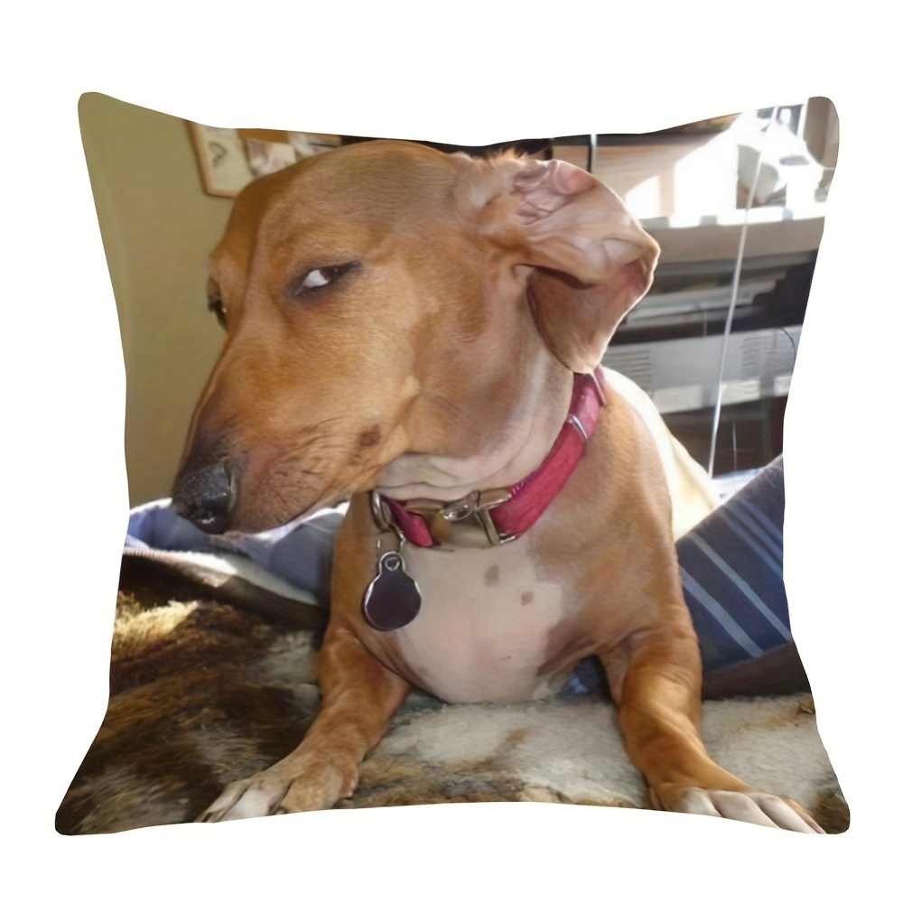 

Chic Side-eye Dog Meme 18x18 Inch Cushion Cover - Soft Plush, Single-sided Print For Sofa & Bedroom Decor, Zip Closure, Hand Wash Only