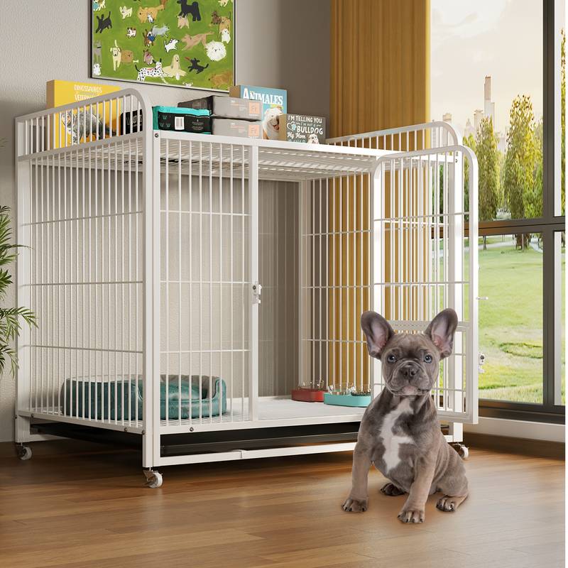 Amazon Basics Dog Crate Instructions Amazon Basics Foldable Metal