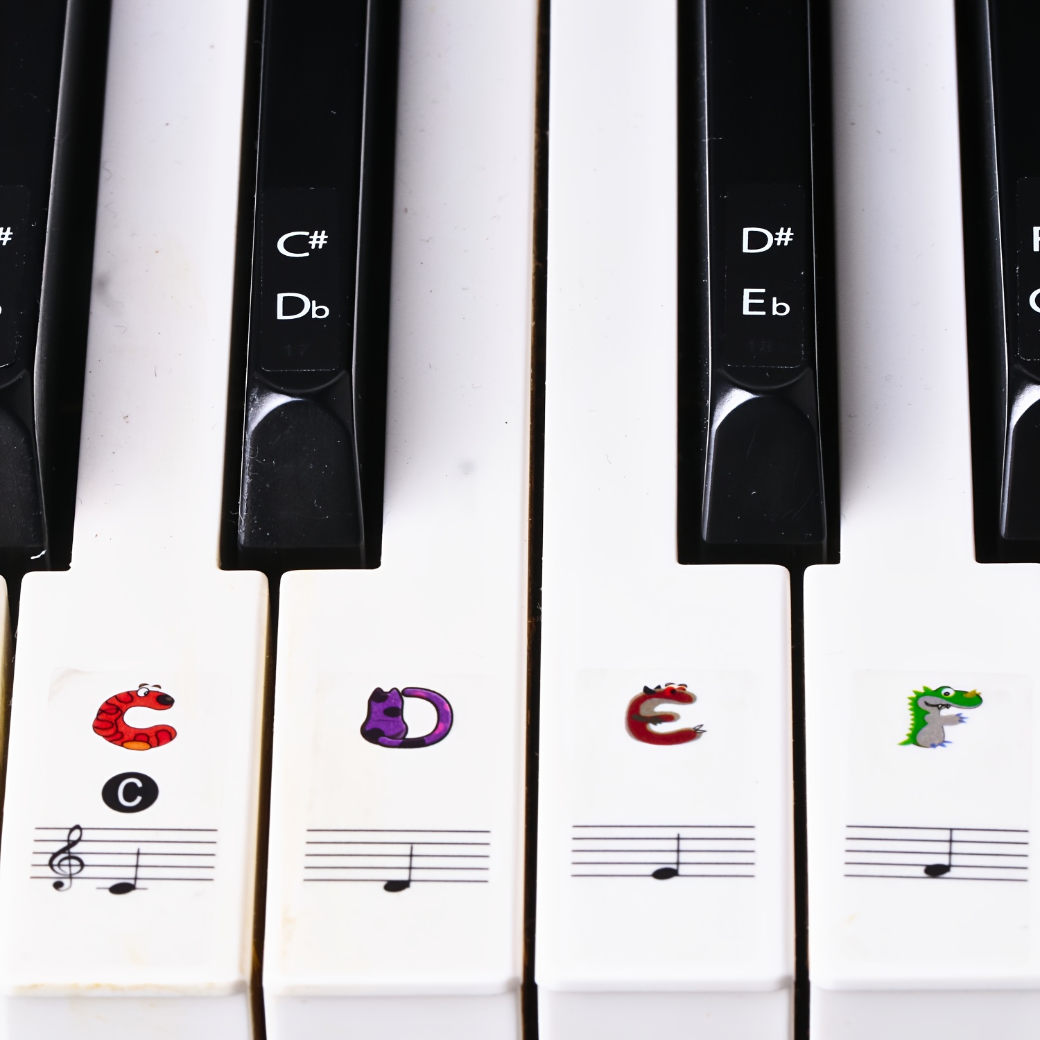 Full Piano Keys Labeled 52