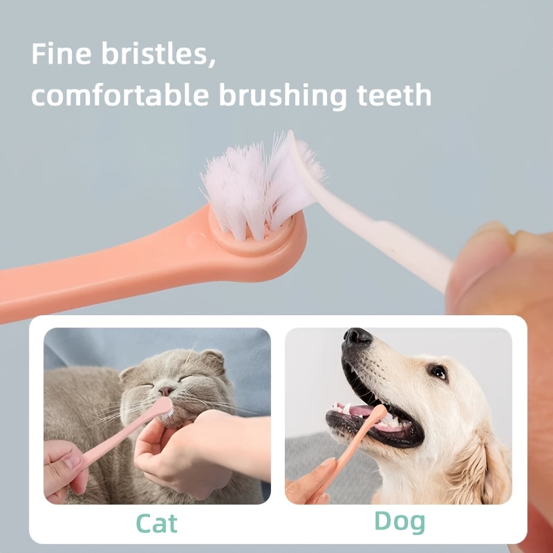 3 pack solid color round head pet soft bristle toothbrushes pet oral care supplies small toothbrushes for cats and dogs Product details 3