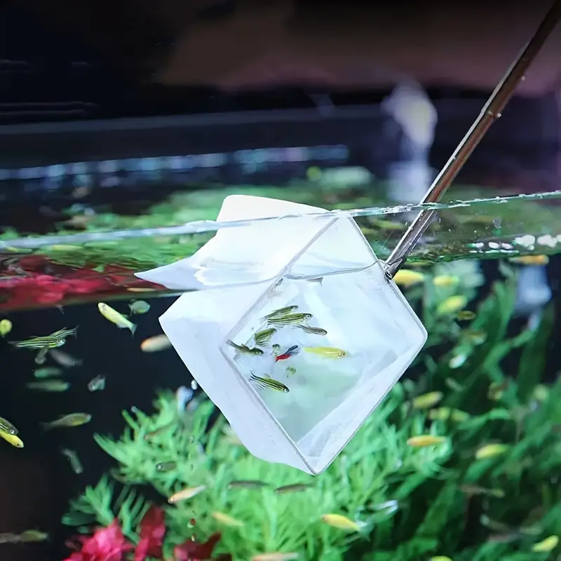 fish tank fish nets adjustable 5 15 inch long handle small - Temu fish tank fish nets adjustable 5 15 inch long handle small - Temu