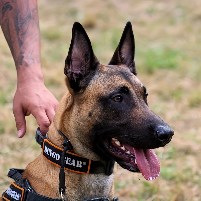 Dog Collar Pro K9 Dog Training Tactical Collar With Handle – K9