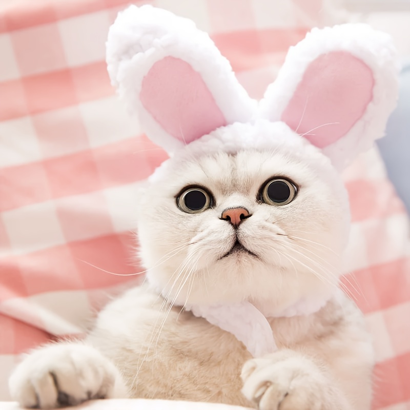 TEMU Cappello da coniglietto con orecchie per e cani di taglia, costume da festa, accessorio per animali domestici