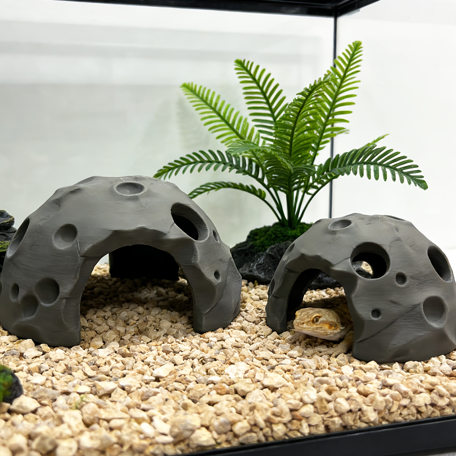 Dreamy Moon Rock Cave Shaped Amphibian Hideout