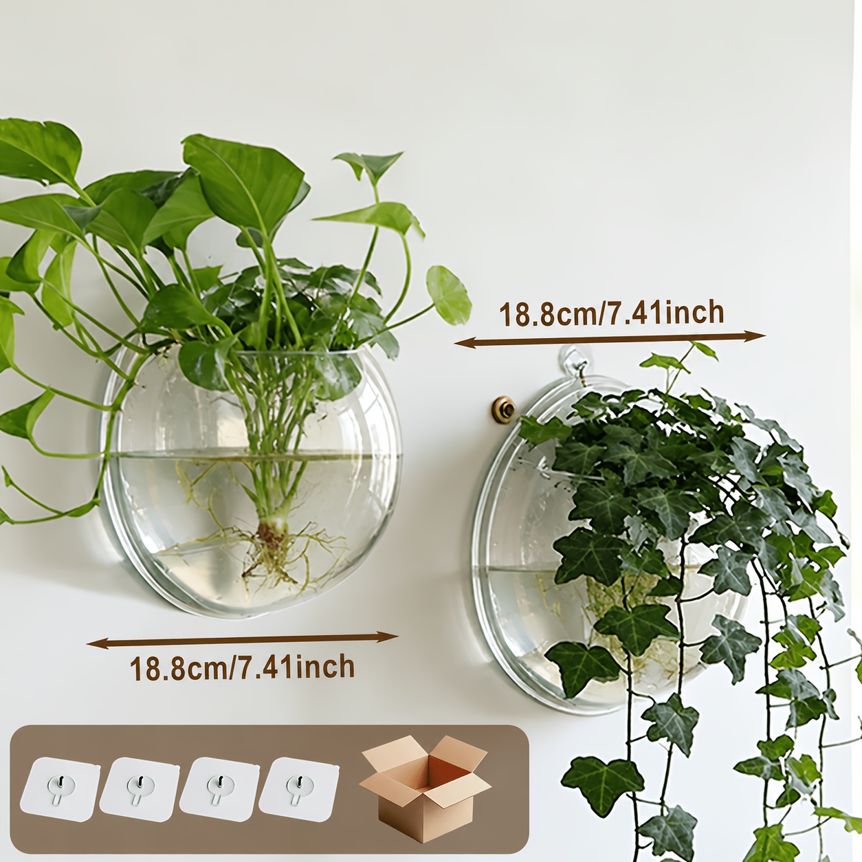 TEMU Vase rond mural transparent, hydroponique, paniers floraux, vase en plastique transparent, panier à fleurs, support de bonsaï décoratif