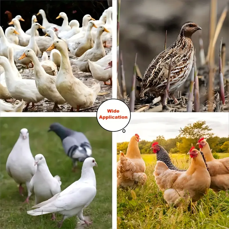 3 5 packs plastic chicken feeder kit automatic poultry feeding system with no waste spill design diy gravity feeder set for garden chickens ducks white 5 51x3 54in details 4