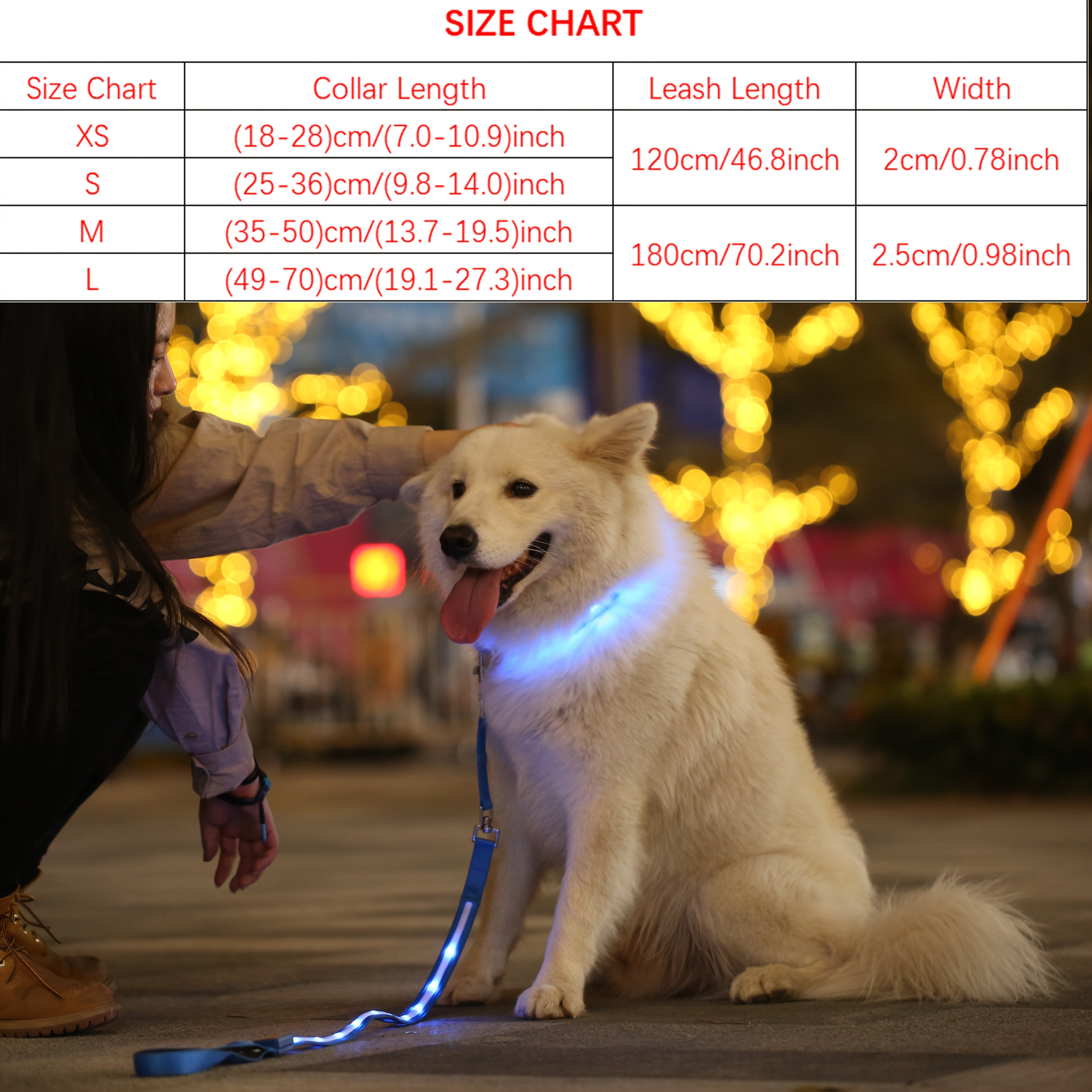 LED Nylon Pet Luminous Collar and Leash Set