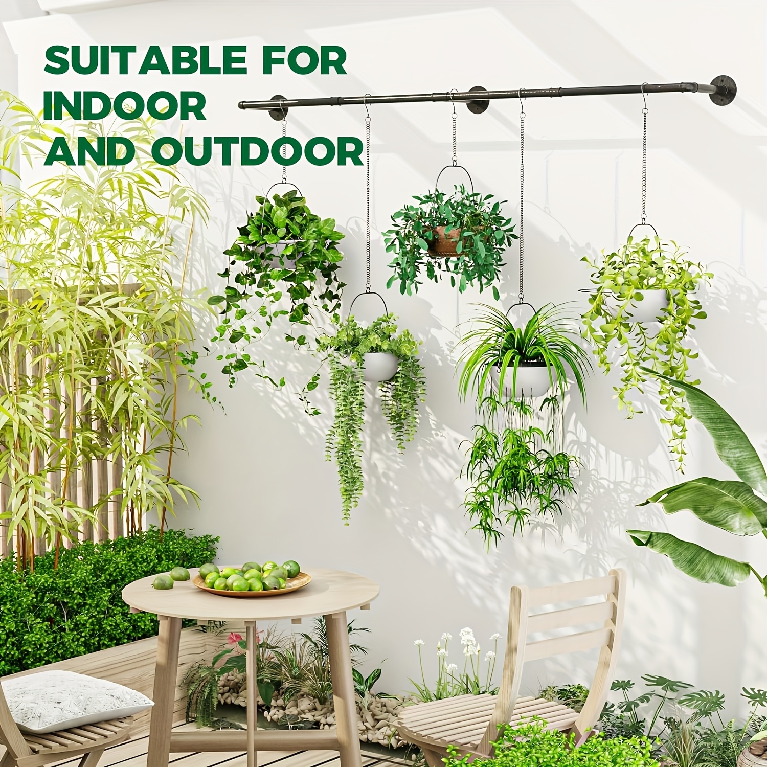 indoor fern plants Large Boston Fern Hanging Basket Houseplant - Large (tall) Grow Pot main image 1