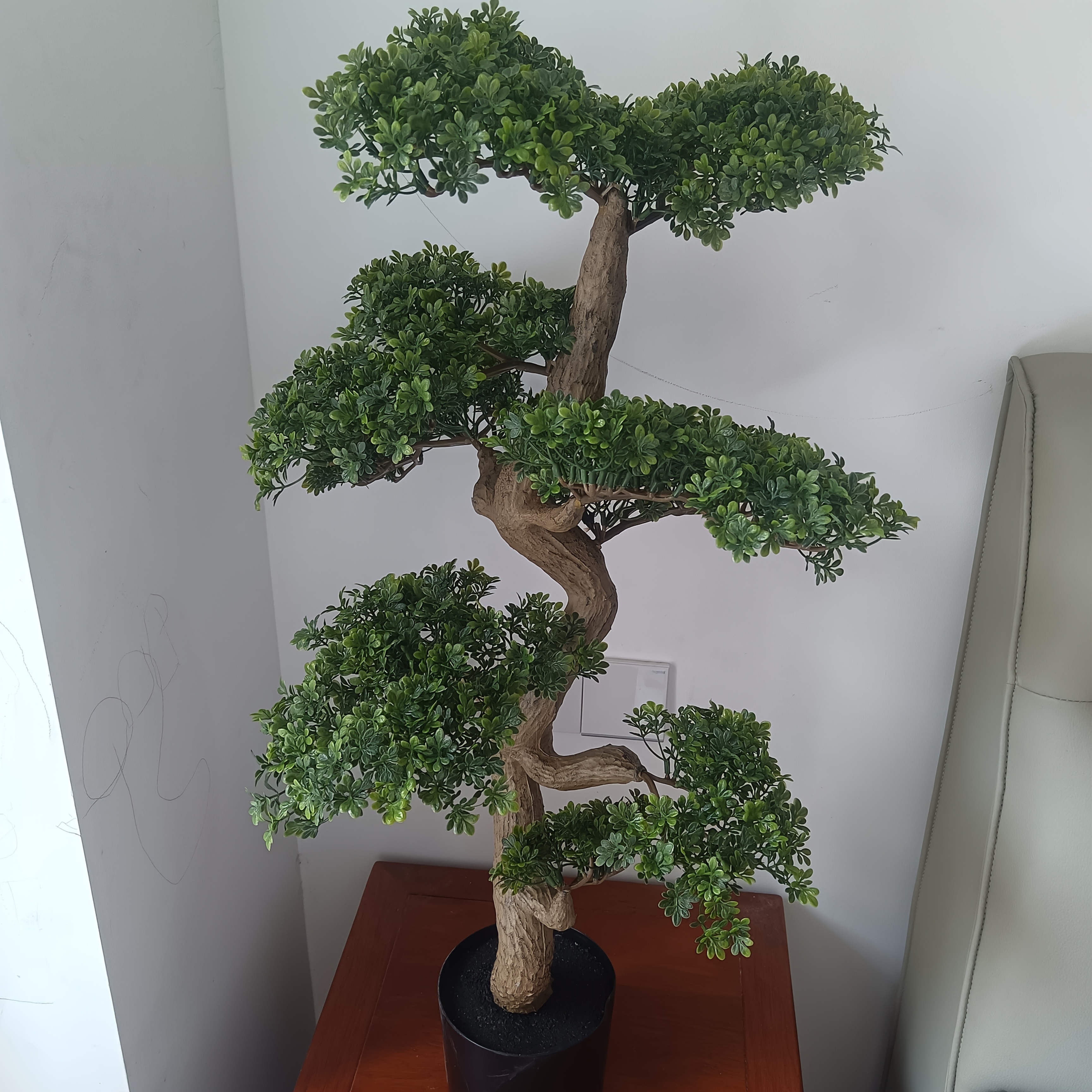eibe strauch Gemeine Eibe (Taxus baccata) | 100-125 cm mit Wurzelballen