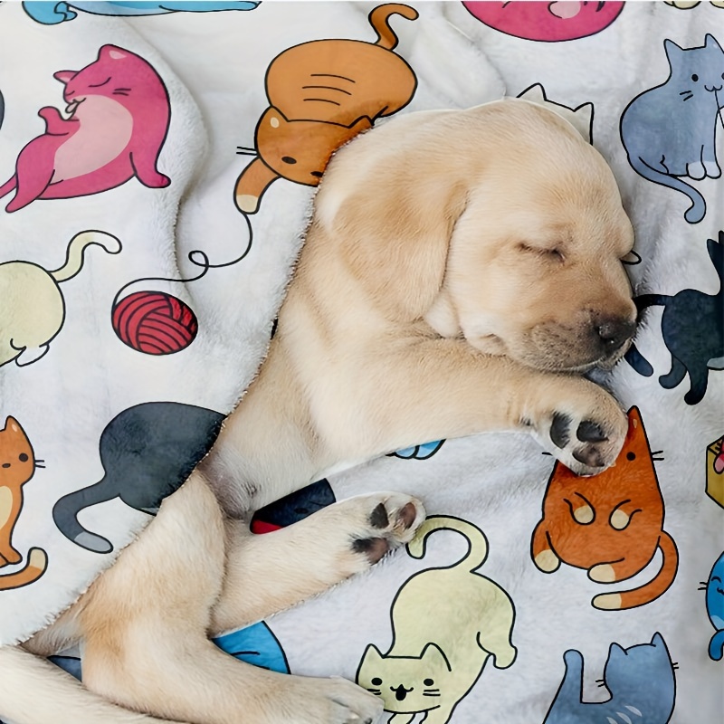 peluche gatos ultra reversible – Temu Guatemala