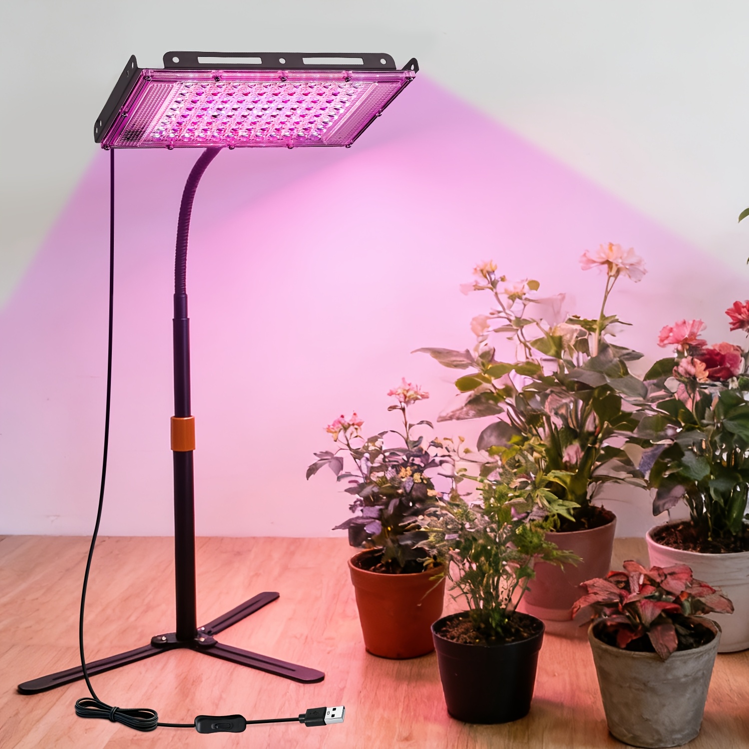 bonsai led - Temu Deutschland