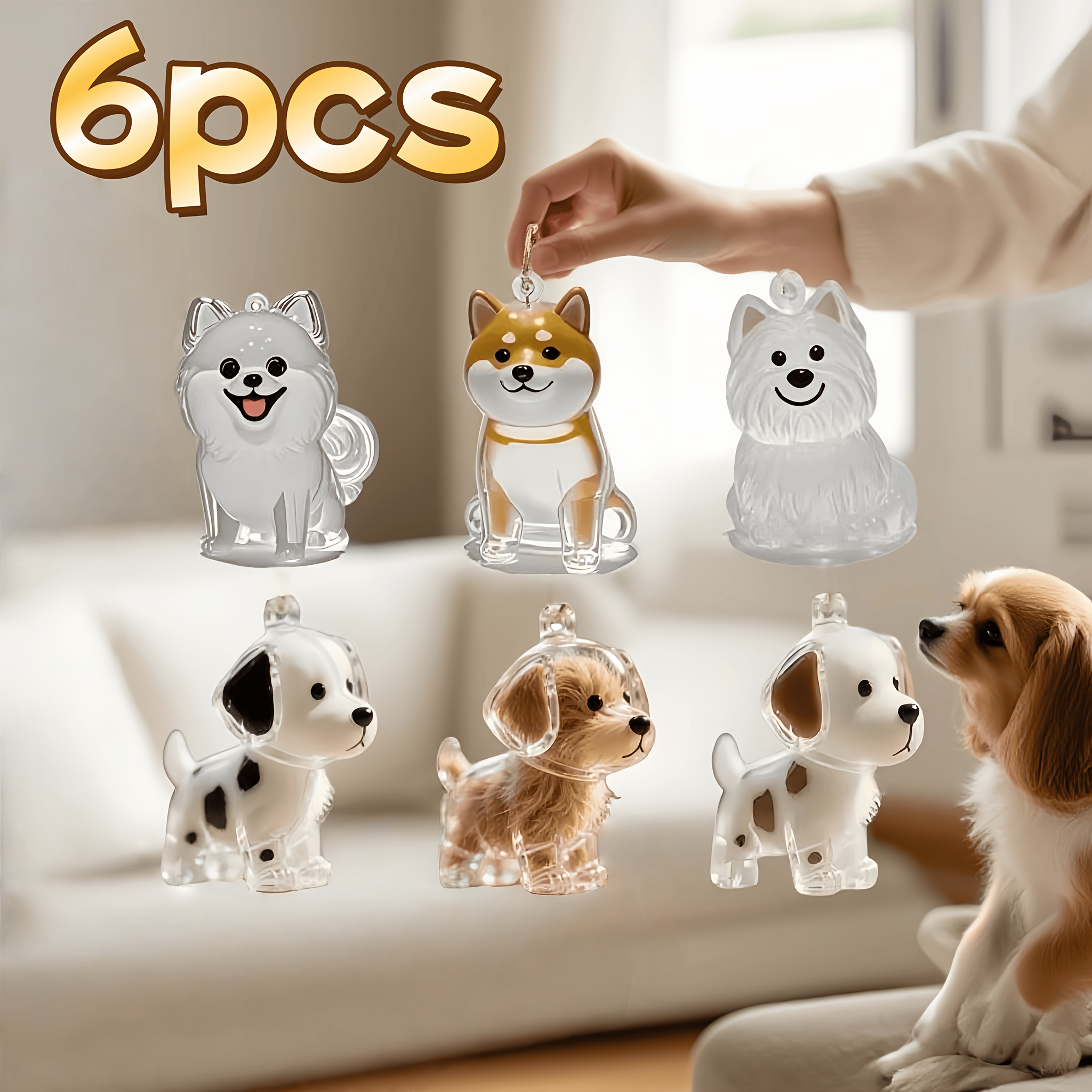 Image of 6pcs Transparent Dog Hair Storage Box, Dog Fur Collection Case, Decorative Hair Organizer, Hair Additions Storage, Aesthetic, Whimsical Design, Embellished Keepsake Box