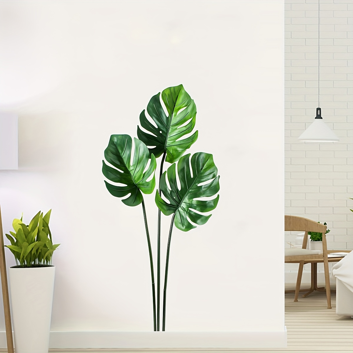 monstera splits Monstera Deliciosa main image 0