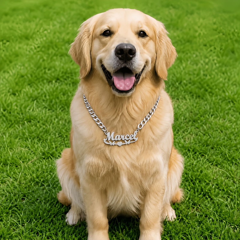 Custom Name Pet Necklace with Butterfly and Heart Pattern ID Tag