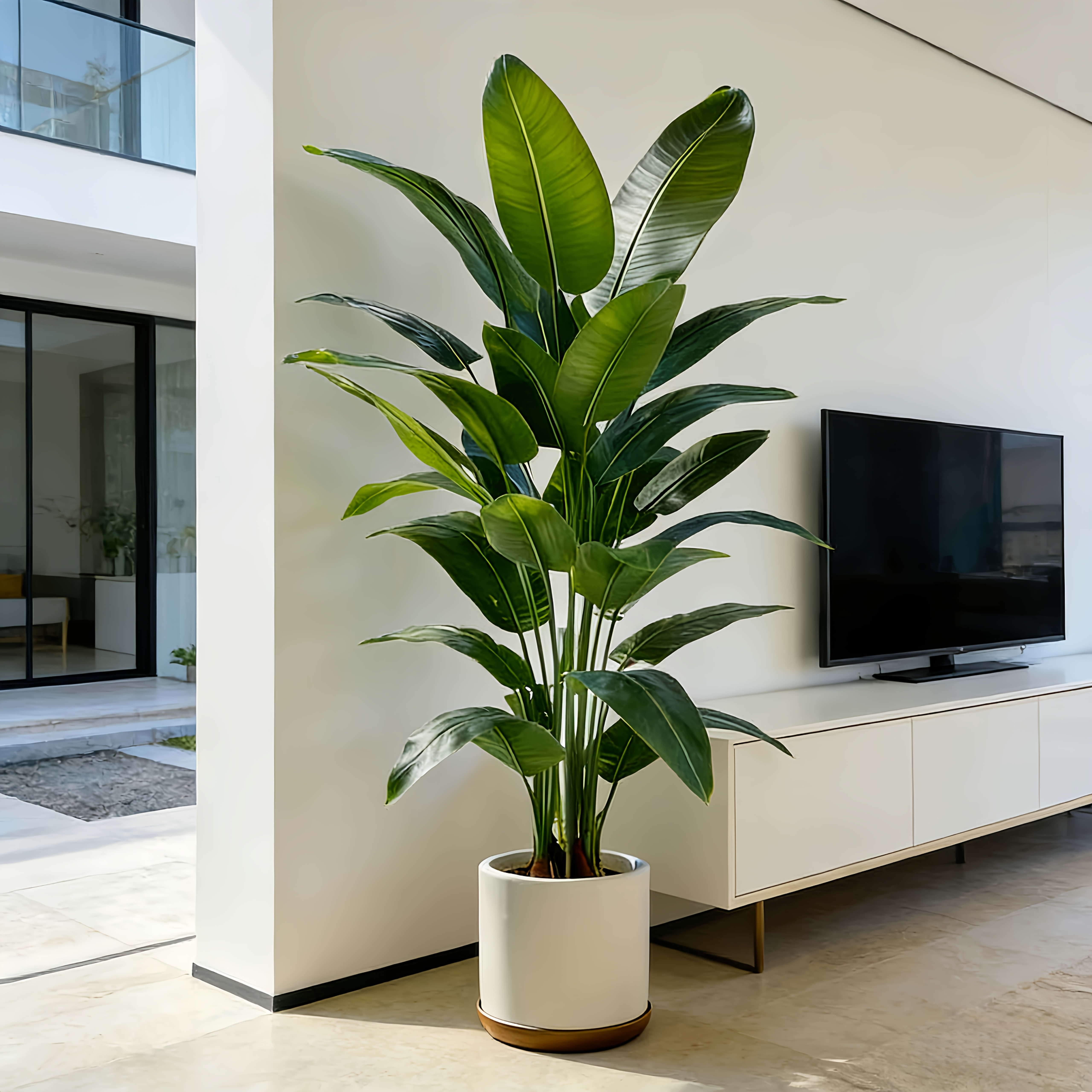 A Large Artificial Banana Tree That Requires Little Maintenance, Made of Plastic, Suitable for Both Indoor And Outdoor Use. It Perfectly Complements Gardens, Weddings, Homes, And Offices