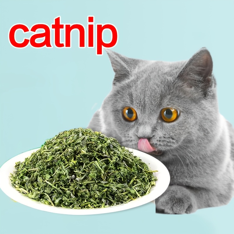 TEMU 100g Natural Pet , Natural Pet Blend For & Exciting Cats, Safe Treats For Playtime, Training, Interactive Cat Toys With -infused Toys