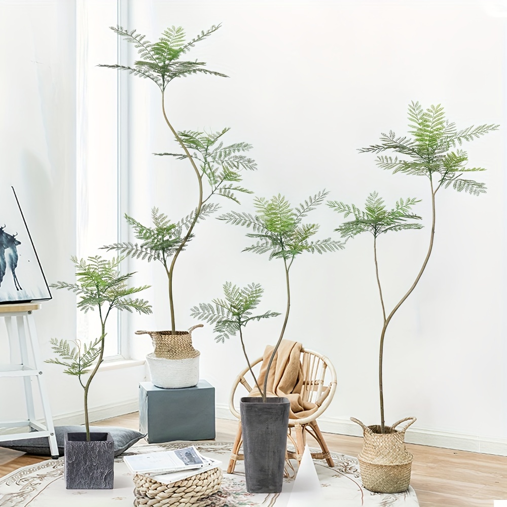 bonsai trees indoor sold on Temu United States