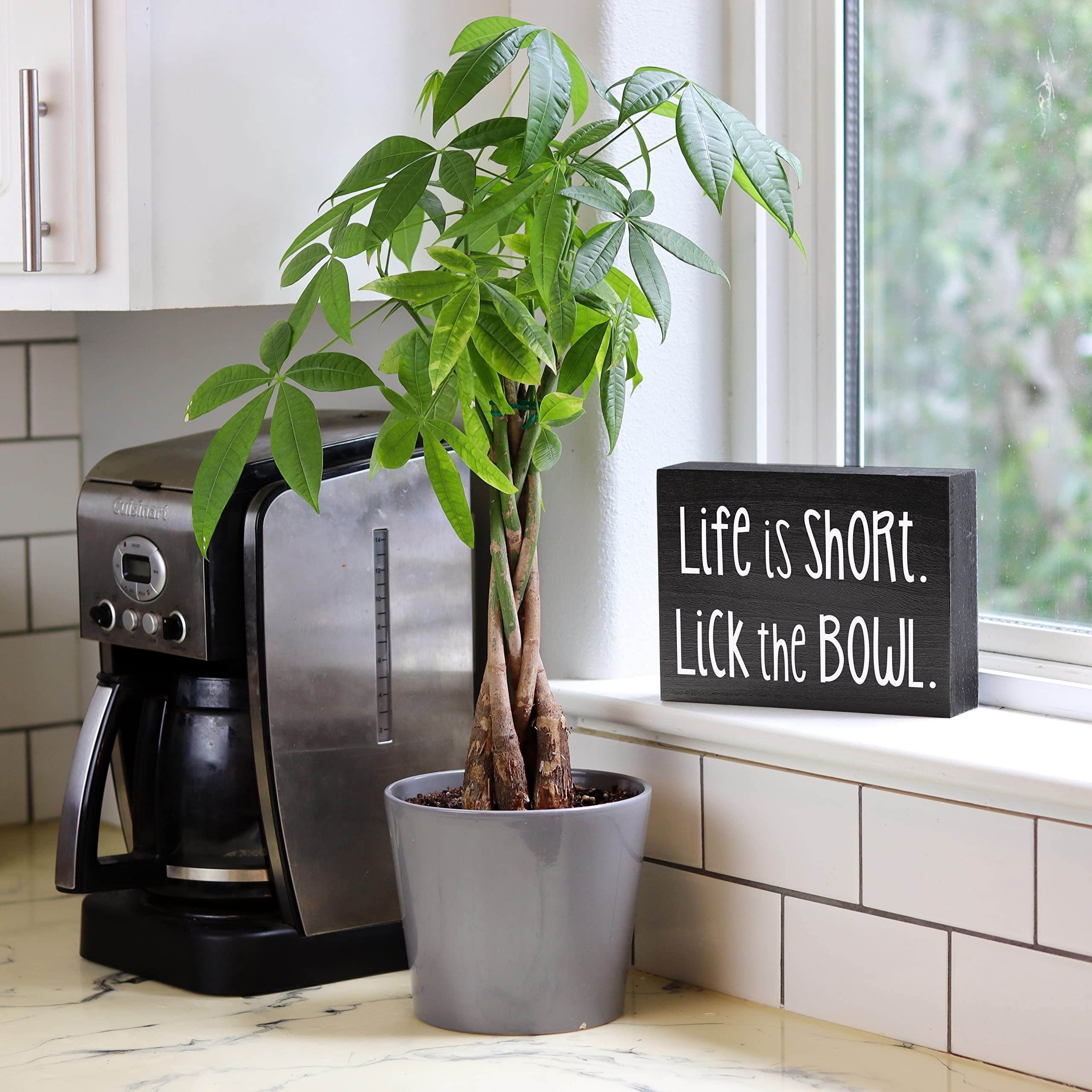 Life Short Lick Bowl Sign Funny Kitchen Signs Funny Kitchen - Temu