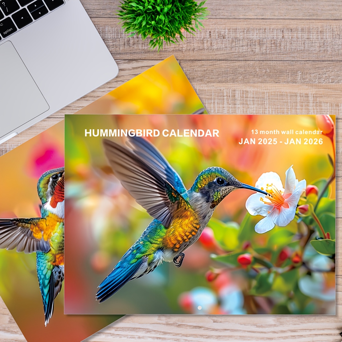 

2025-2026 Hummingbird Wall Calendar - 13-month Monthly Calendar With, 2025 To 2026, 11.3 X 8.3 Inches, Large Daily With Holiday For