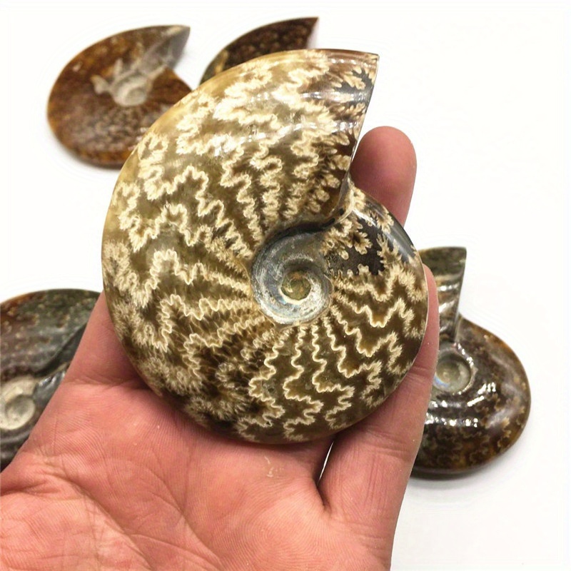 TEMU 1 Amazing Rare Decoration, Series Gift Craft Carving, Living Room And Office Home Decoration, Loose Gemstones, Collection Art Decoration, Unique