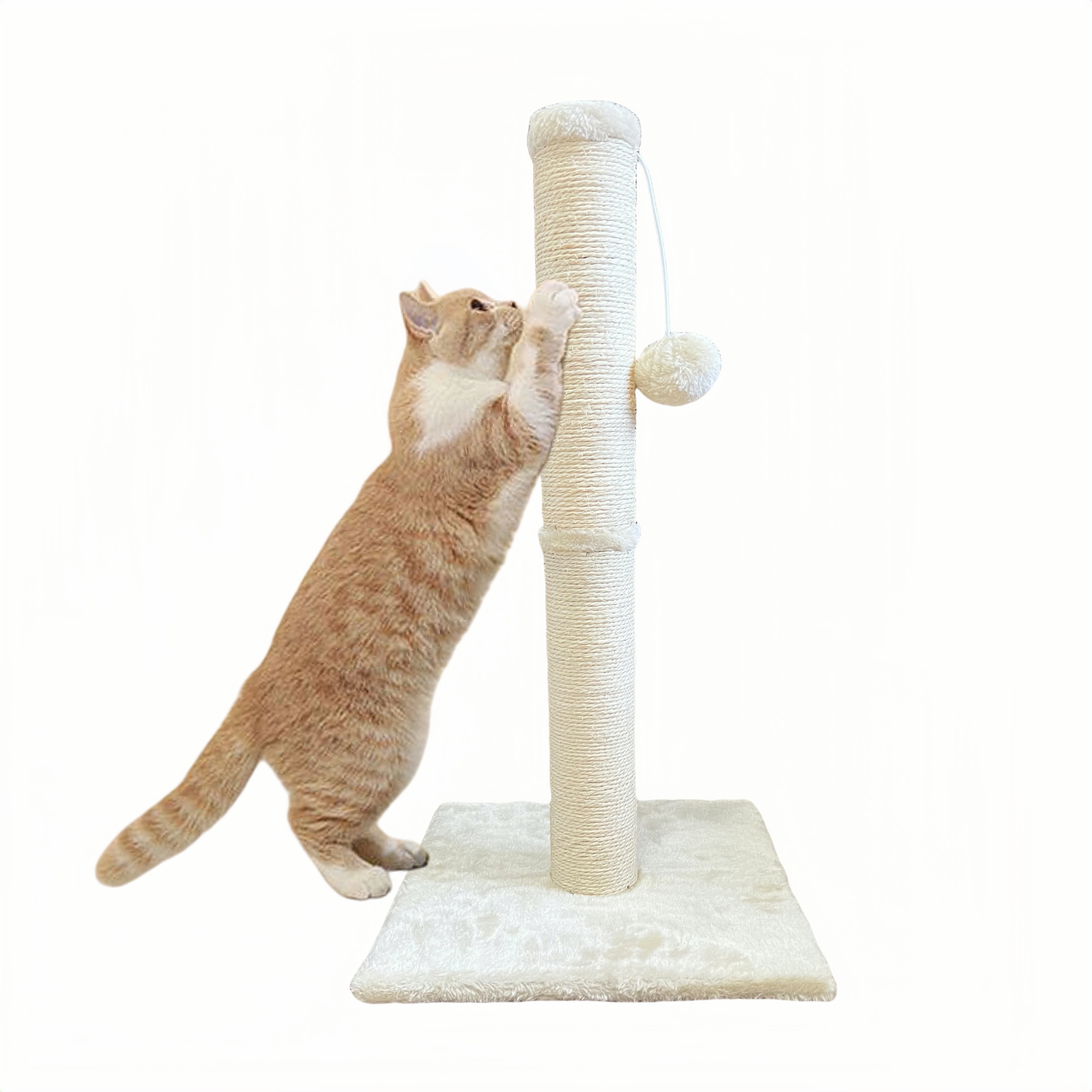 24,5-Zoll Kratzbaum fr Katzen  Stabiler Kratzbaum mit hngendem Ball,  Sisalseilbasis & platzsparendem Design, Kletter- Spielmbel fr Ktzchen  kleine Rume