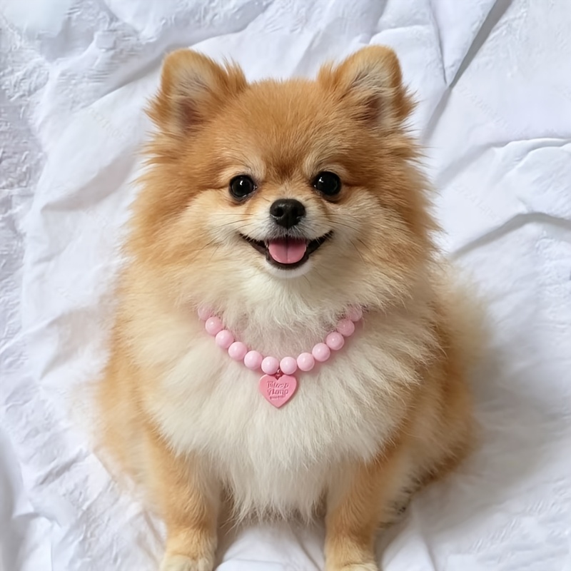 TEMU Collar Ajustable para Mascotas 1pc Color Caramelo, Collar para Gatos y Perros, Collar para Perros Pequeños y Teddy, Múltiples Colores