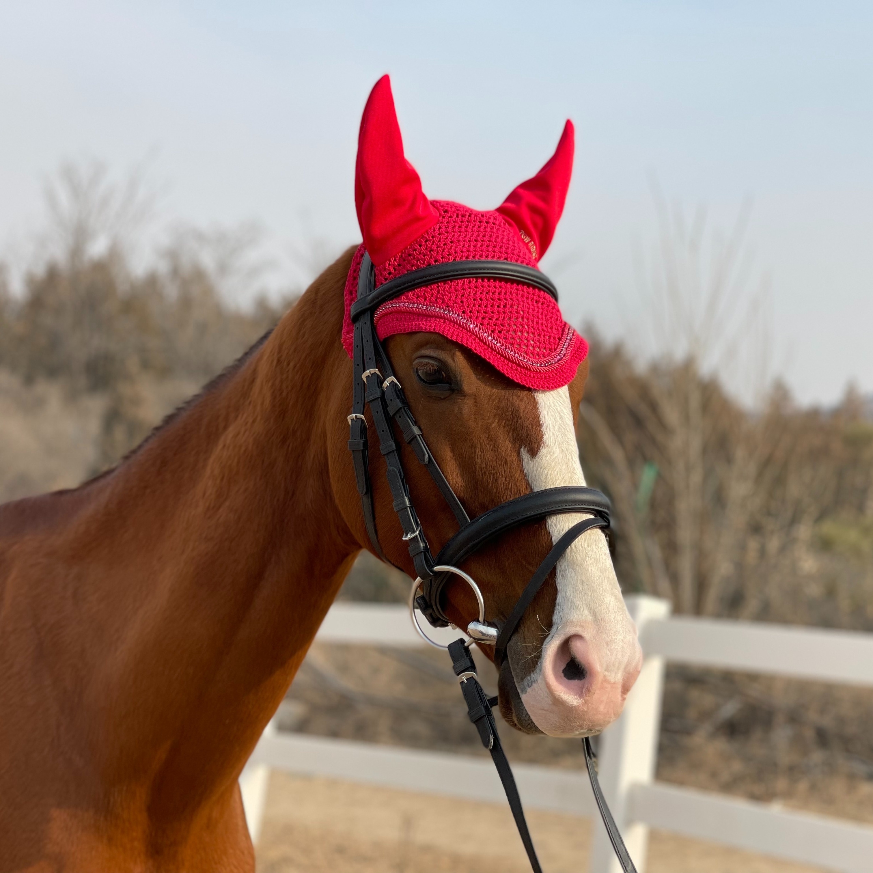 

3d Bling Rhinestone Decorated Horse Ear Bonnet, Crochet Cotton Equestrian Fly Veil, Breathable Horse Hood With Ears For Riding Performance