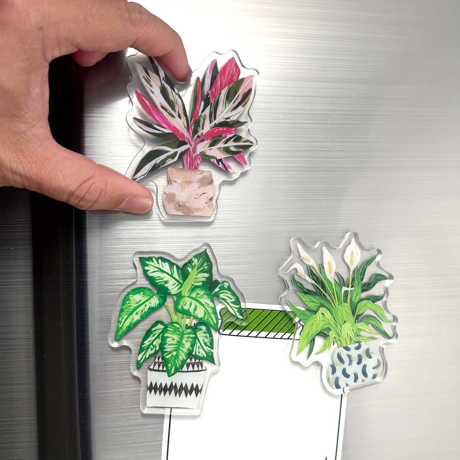 

3pcs Acrylic Double-sided Plant Refrigerator Magnets, Plant Fridge Magnets, Oval-shaped, For Whiteboard, Cabinet, Storage , Classroom, Kitchen, Office, With Dishwasher Decorative Accessories