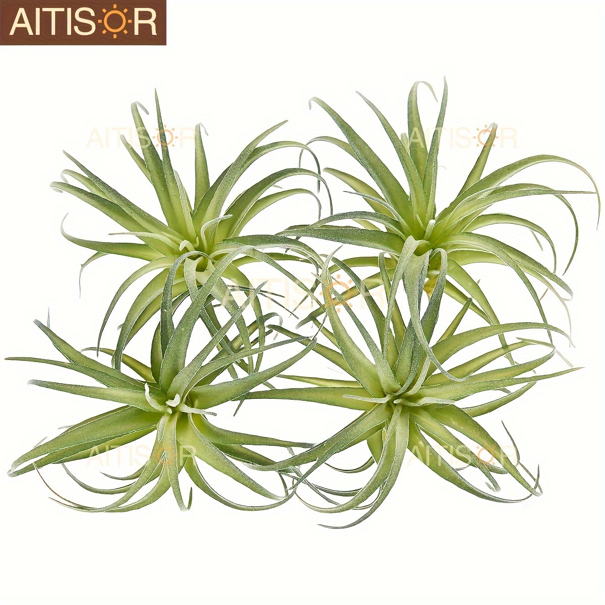 lavender plants for pots Lavender in Terra Cotta Pot  Gatehouse Style