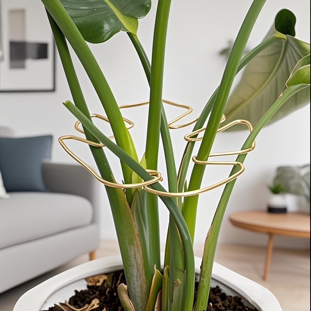 Plant Stem Support - Durable Monstera Stabilizer Grab Bar, Unique Climbing Plant Design, Turtle-Shell Bungie Kit, Ideal Plant Support for Healthy Growth, Decorative Plant Support