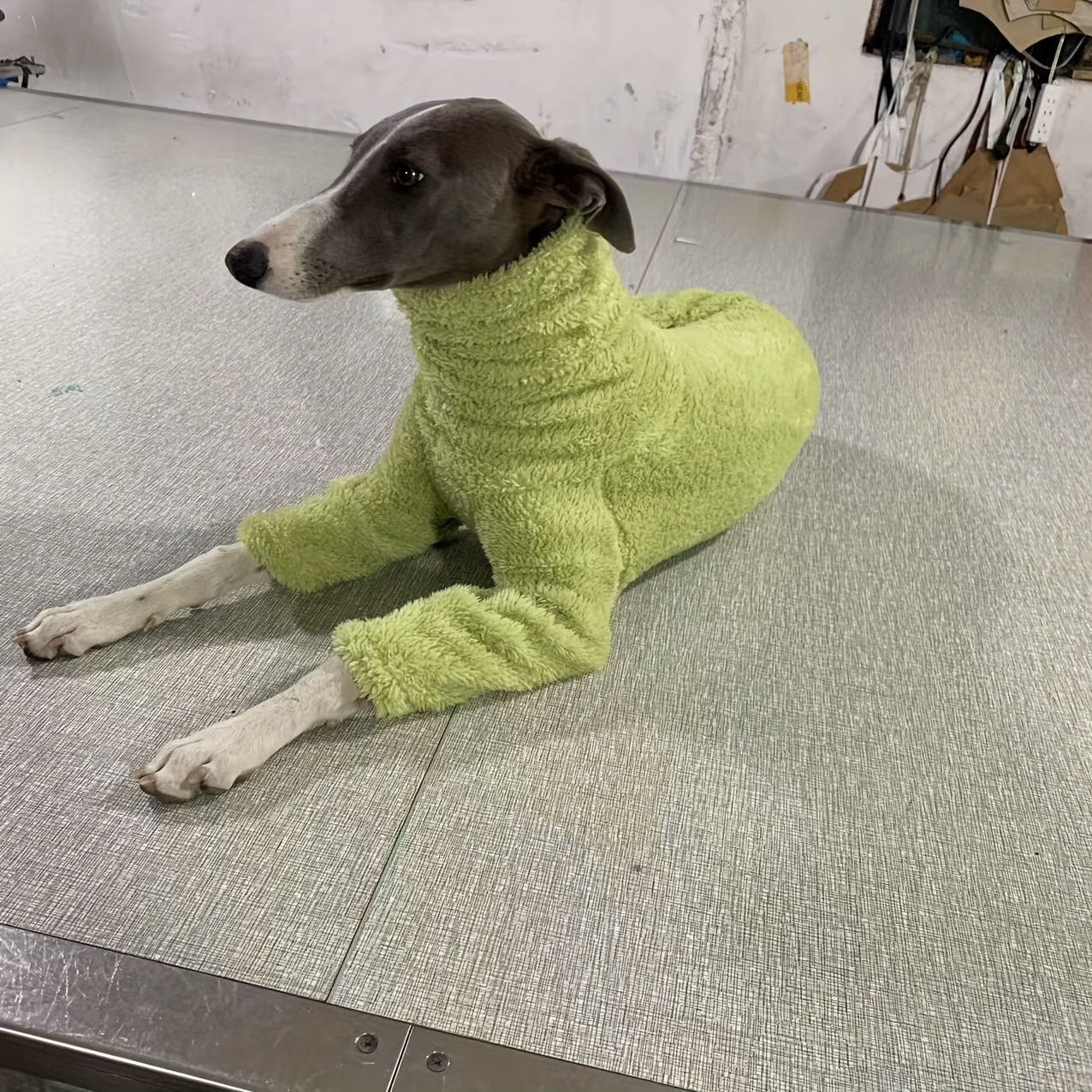 TEMU Abbigliamento invernale per cani di stile , sciarpa a , , tinta , stampato, bifacciale, caldo completo a quattro , e molto elastico, a levrieri,